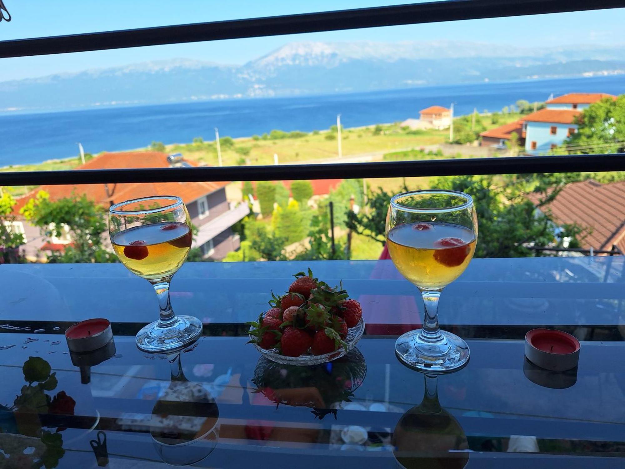 Taku Wonderful View Of Ohrid Villaer