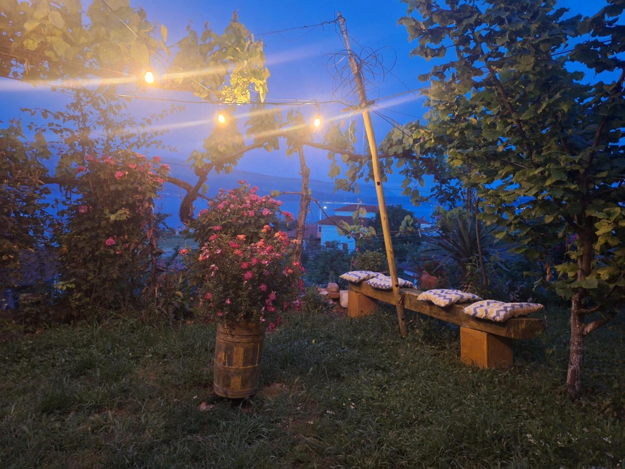 Taku Wonderful View Of Ohrid Villaer