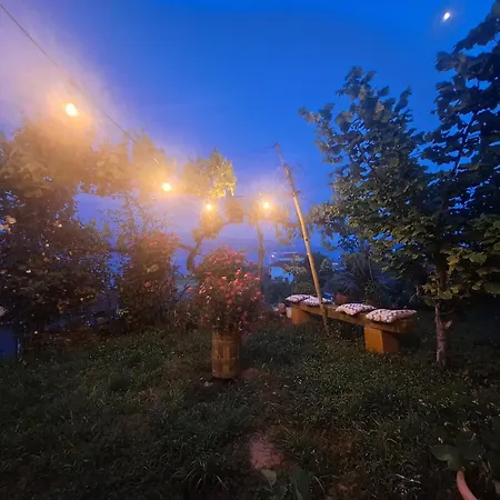 Taku Villa Wonderful View Of Lake Ohrid Udenisht Exterior photo
