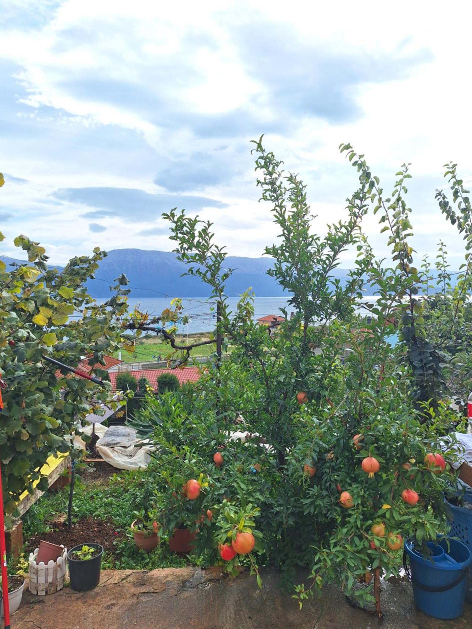 Taku Wonderful View Of Ohrid * Udenisht